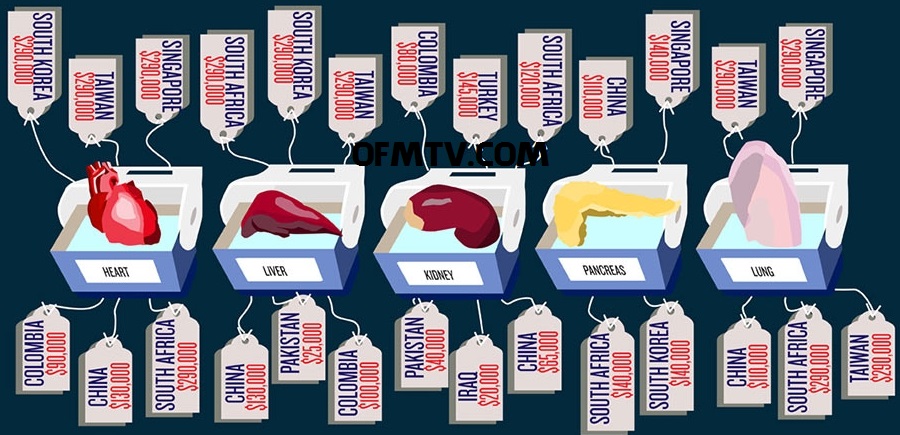 Organ ve çocuk mafyasına dikkat