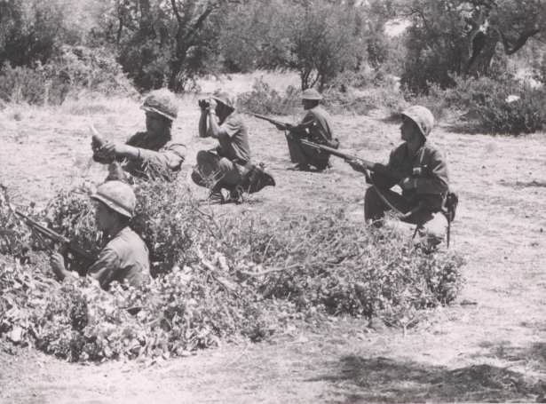 1974 Kıbrıs Barış Hareketi'nden kareler